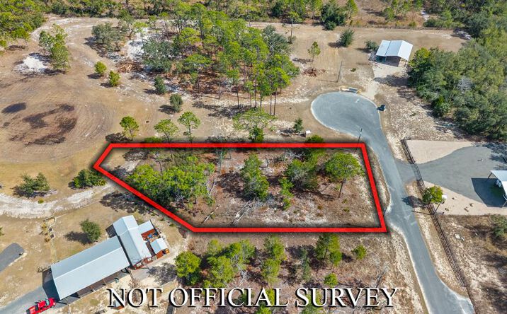 Pictures of Land property located at 239 Leslie Lane, Perry, FL 32348 for sales - image #1
