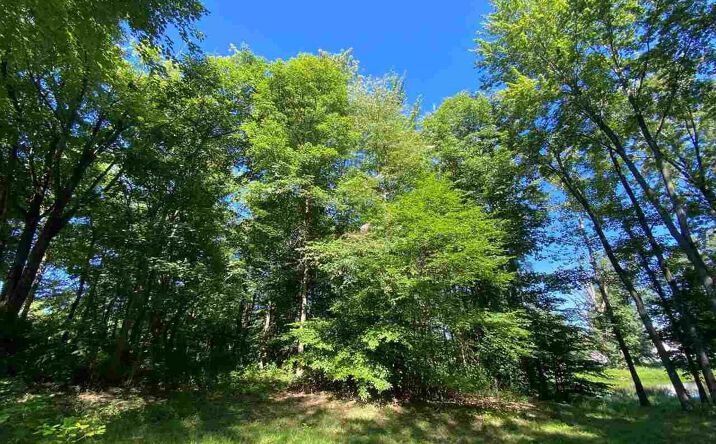 Pictures of Land property located at Strickland Ct, Terre Haute, IN 47805 for sales - image #1
