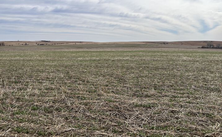 Pictures of Land property located at 00000 E. Quail Road, Lincoln, KS 67455 for sales - image #1