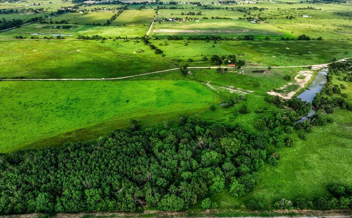 Pictures of Land property located at 11194 Schmidt Road, Waller, USA 77484 for sales - image #1