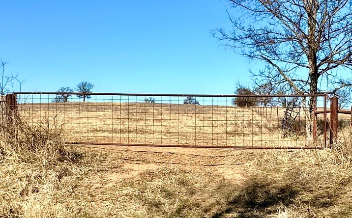 Pictures of Land property located at W Memorial, Lone Grove, OK 73443 for sales - image #1