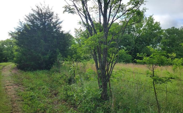 Pictures of Land property located at Hull, Hanna, OK 74845 for sales - image #1