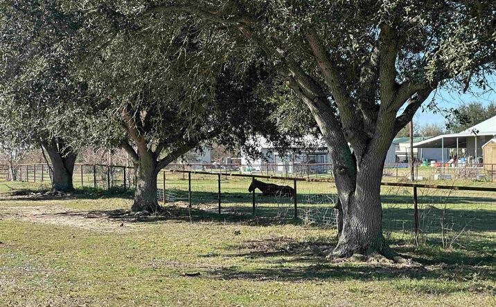 Pictures of Land property located at 210 Borne Ln Lane, Lake Charles, LA 70607 for sales - image #1