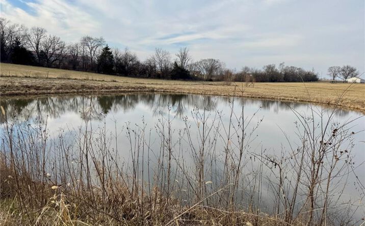 Pictures of Land property located at Lot 2 NW Plotsky Avenue, Plattsburg, MO 64477 for sales - image #1