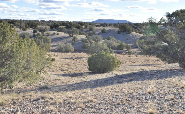 Pictures of Land property located at Lot690&691 691 Cr 5270 (Old Hunt Rd) Rwm, Concho, AZ 85924 for sales - image #1