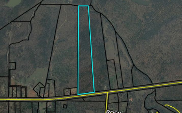 Pictures of Land property located at 8531 Thomaston Rd., Macon, GA 31220 for sales - image #1