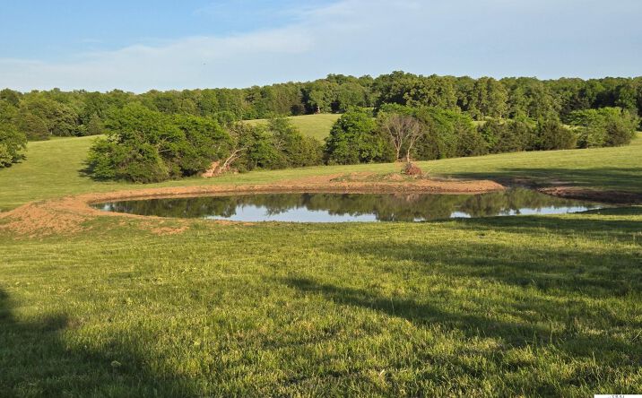 Pictures of Land property located at Luster/Violet, Warsaw, MO 65355 for sales - image #1
