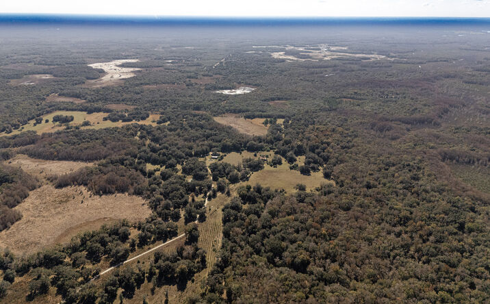 Pictures of Land property located at 1730 S Windham Rd, Inverness, FL 34450 for sales - image #1
