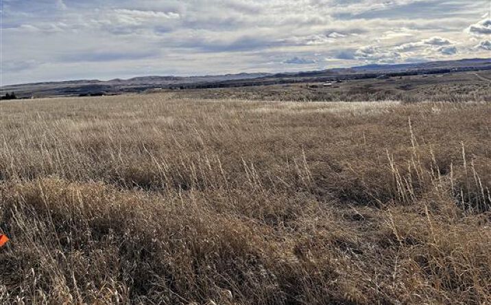 Pictures of Land property located at TBD Goshawk Dr, Cody, WY 82414 for sales - image #1