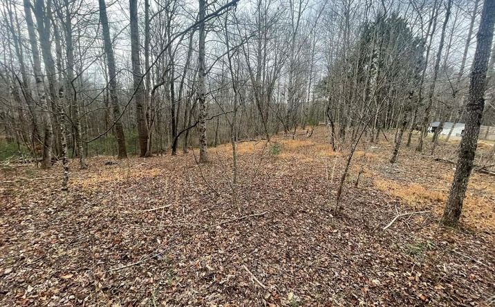 Pictures of Land, Multifamily property located at TBD Creekview Lane, Ararat, VA 24053 for sales - image #1