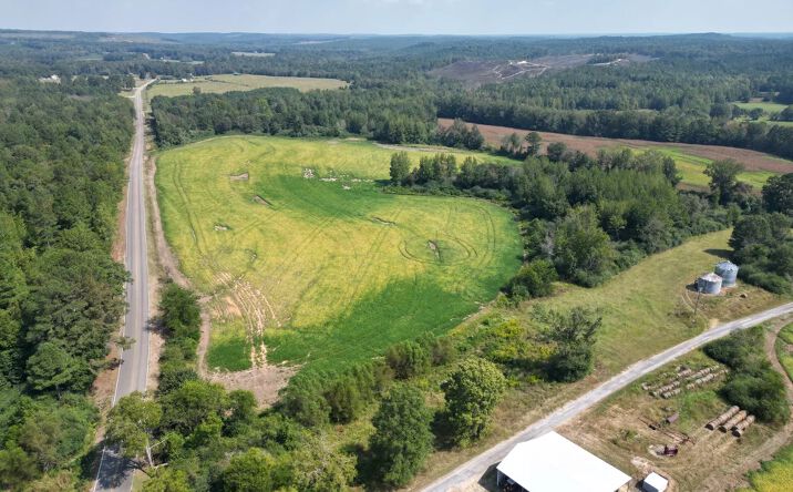 Pictures of Land property located at +/- 40 Acres - HWY 253, Hamilton, AL 35570 for sales - image #1