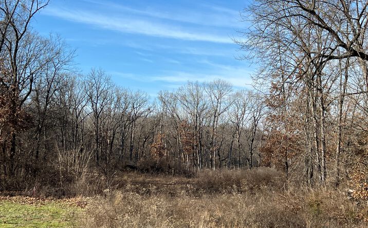Pictures of Land property located at 431 Piper Ct., Troy, MO 63379 for sales - image #1