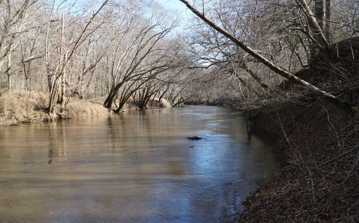 Pictures of Land property located at HWY 187, Hodges, AL 35571 for sales - image #1