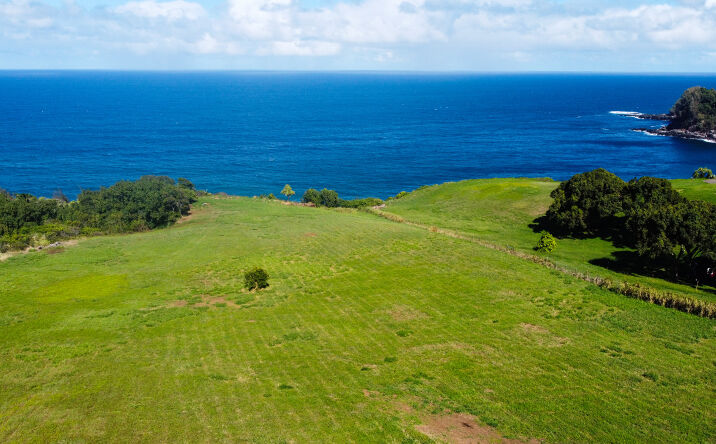 Pictures of Land property located at 402 Mehana Rd, Haiku-Pauwela, HI 96708 for sales - image #1