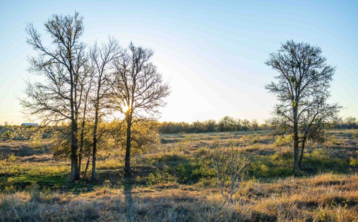 Pictures of Land property located at 3191 Co Rd 463, Elgin, TX 78621 for sales - image #1