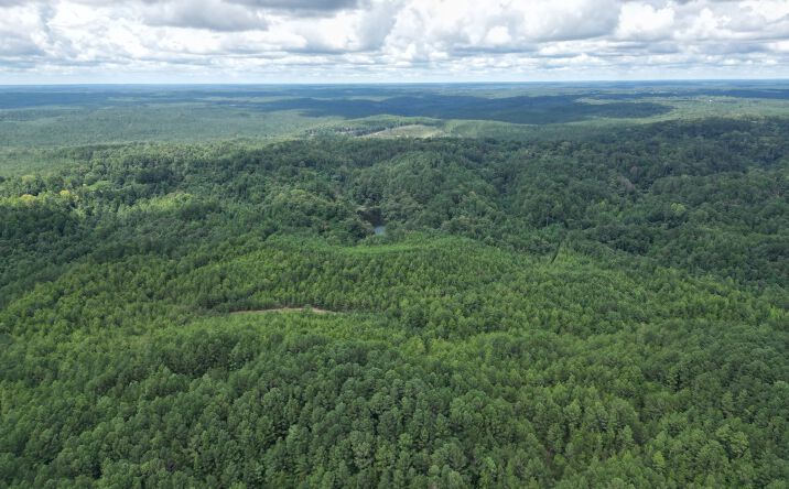 Pictures of Land property located at +/- 480 Acres - County Road 9, Lynn, AL 35575 for sales - image #1