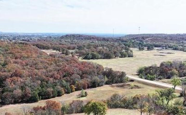 Pictures of Land property located at Hwy 64, Vian, OK 74435 for sales - image #1