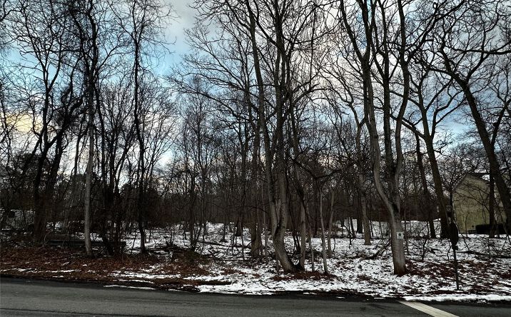 Pictures of Land property located at W Bartlett Road, Brookhaven, NY 11953 for sales - image #1