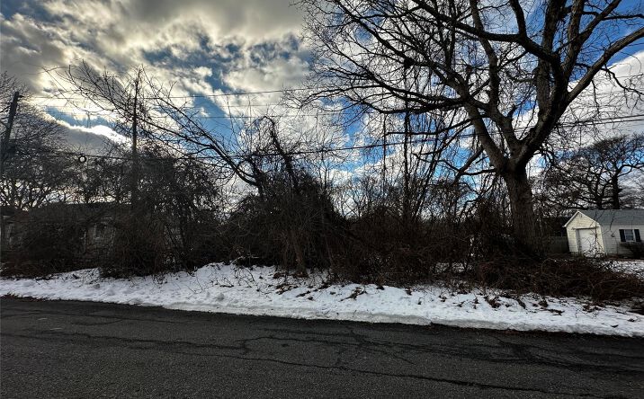 Pictures of Land property located at Forest Road, Brookhaven, NY 11951 for sales - image #1