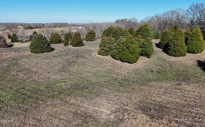 Pictures of Land property located at 10100 (N) US-412, Friendship, TN 38034 for sales - image #1