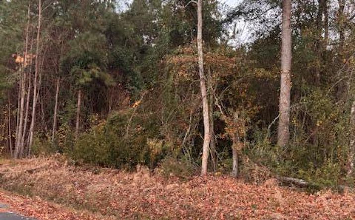 Pictures of Land, Multifamily property located at 9680 Clash Lane, Lynchburg, SC 29080 for sales - image #1