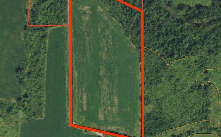 Pictures of Land property located at 1100 Whig Highway, Adrian, MI 49221 for sales - image #1