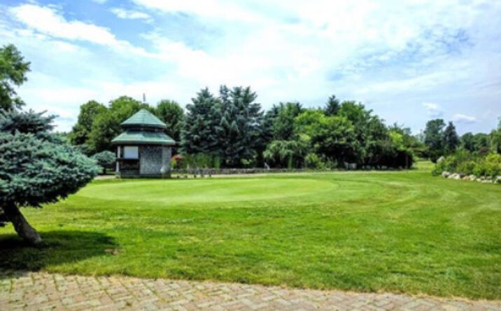 Pictures of Business for Sale, Retail, Land property located at 20820 Inkster Road, Romulus, MI 48174 for sales - image #1