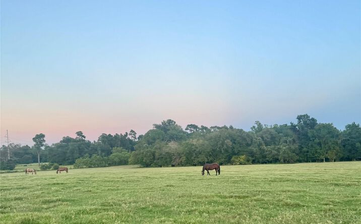 Pictures of Land property located at Spring Branch Rd, Montgomery, TX 77316 for sales - image #1