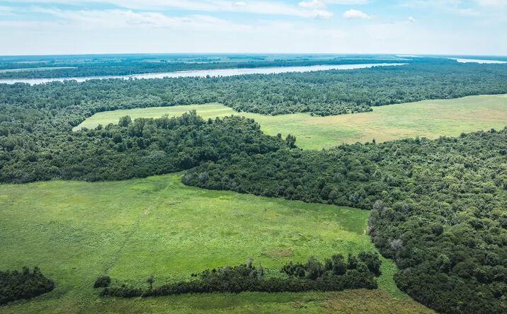 Pictures of Land property located at Island #8, Hickman, KY 42050 for sales - image #1