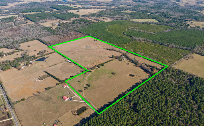 Pictures of Land property located at 255 Co Rd 4645, Winnsboro, TX 75494 for sales - image #1
