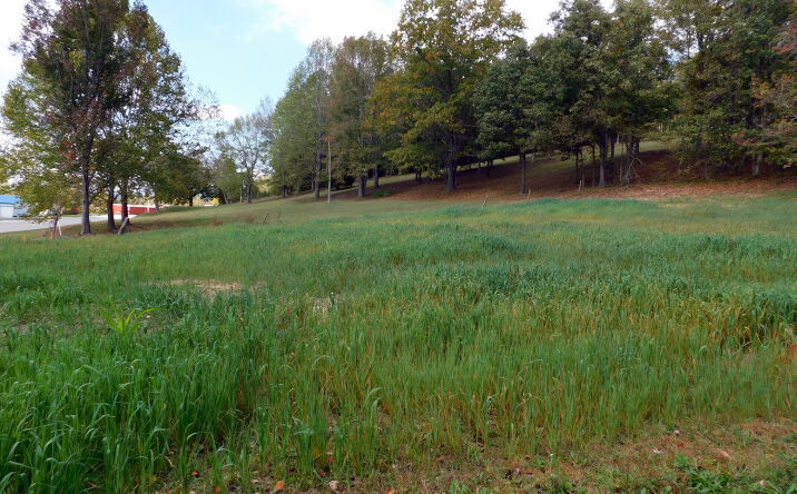 Pictures of Land property located at 1040 KY Hwy 801 South, Morehead, KY 40351 for sales - image #1