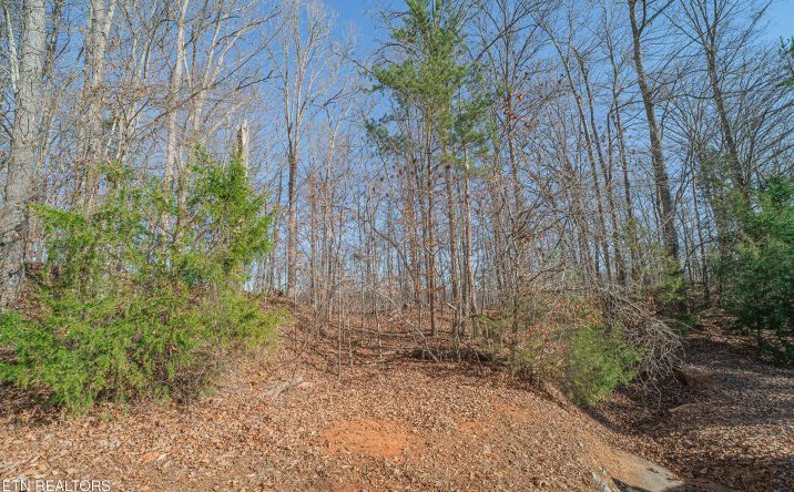 Pictures of Land property located at Sheerwater Rd Lot 7, Kingston, TN 37763 for sales - image #1