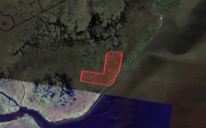 Pictures of Land property located at I-55, Akers, Akers, LA 70454 for sales - image #1