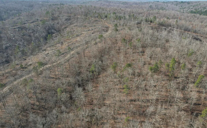Pictures of Land property located at 11834 highway 67, Fredericktown, MO 63645 for sales - image #1