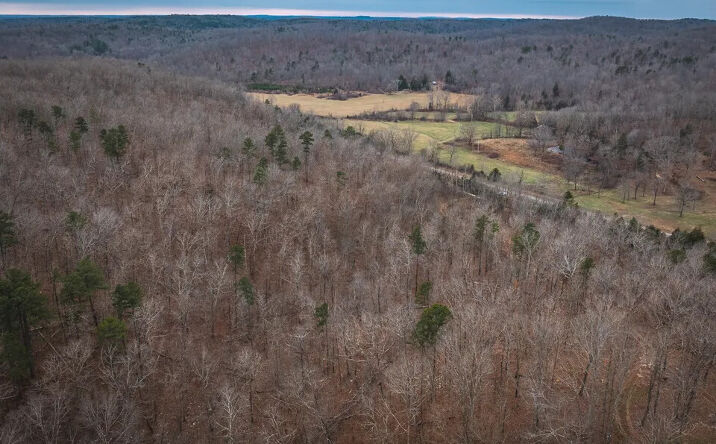 Pictures of Land property located at 000 Highway V, Redford, MO 63665 for sales - image #1