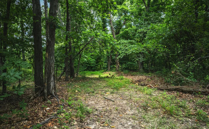 Pictures of Land property located at 4670 Trails Ends Trail, House Springs, MO 63051 for sales - image #1