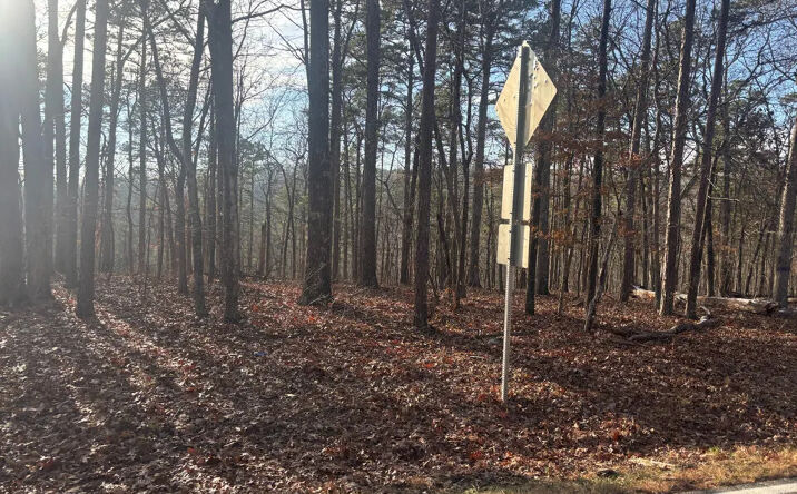 Pictures of Land property located at 4944 Highway C Fredericktown, Missouri 63645, Fredericktown, MO 63645 for sales - image #1