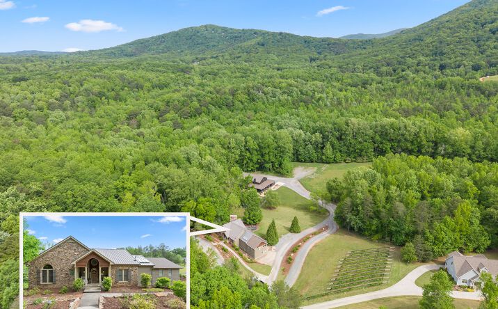 Pictures of Business for Sale property located at 253 Happy Trails Way, Jasper, GA 30143 for sales - image #1