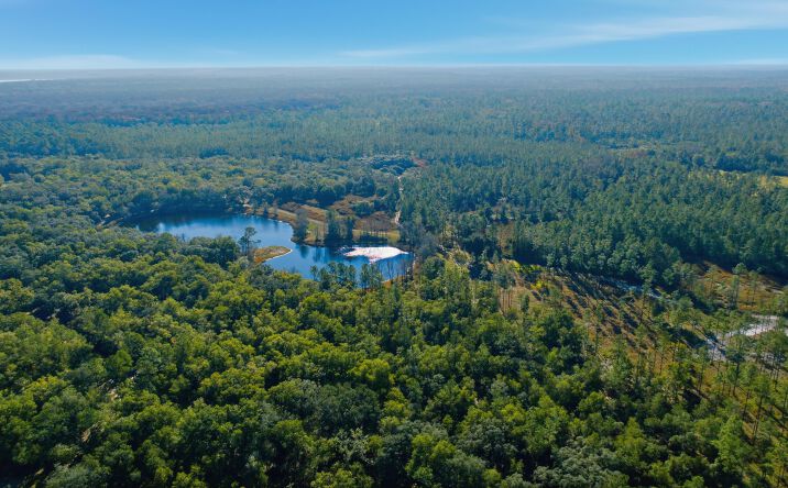 Pictures of Land property located at NE 115TH Lane RD Ft. McCoy, Florida 32134, Fort McCoy, FL 32134 for sales - image #1