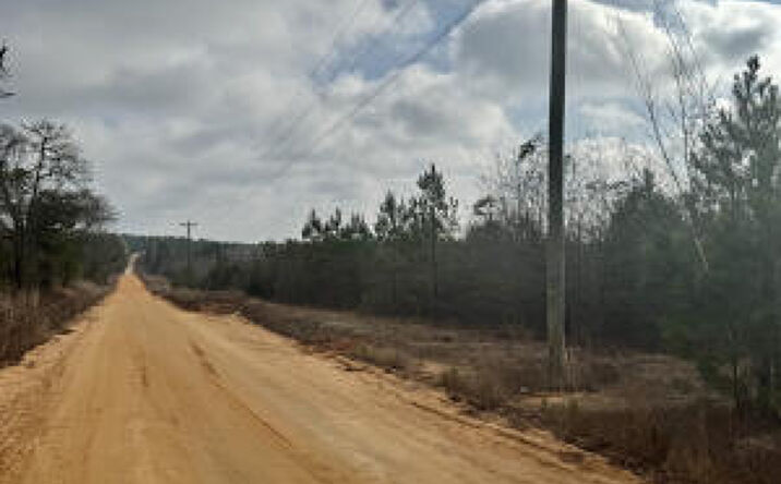 Pictures of Land, Special Purpose property located at Thunder Road, Batesburg-Leesville, SC 29006 for sales - image #1