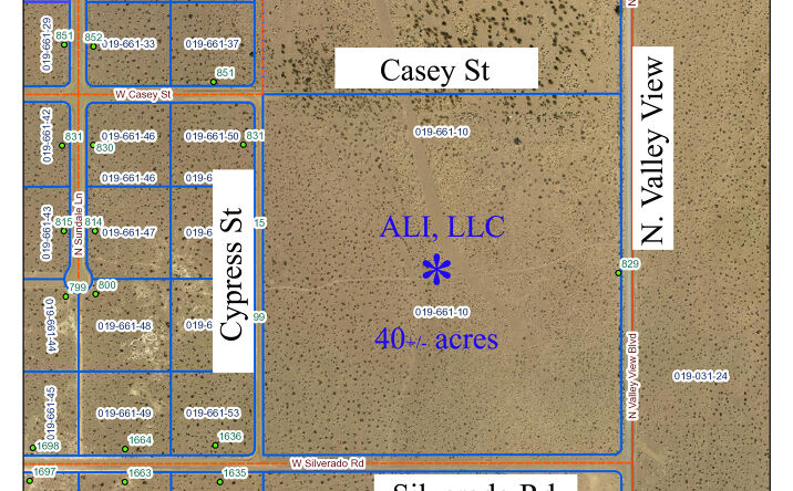 Pictures of Land property located at 1640 N Valley View Blvd, Amargosa Valley, NV 89020 for sales - image #1