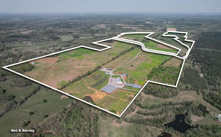 Pictures of Business for Sale, Hospitality, Land property located at 833 N Prather Rd, Michie, TN 38357 for sales - image #1