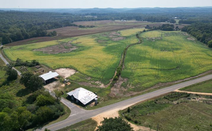 Pictures of Land property located at Hwy 253, Hamilton, AL, Hackleburg, AL 35570 for sales - image #1