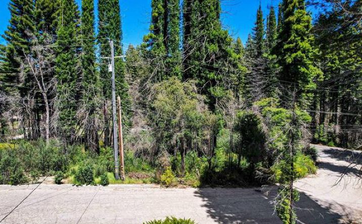 Pictures of Land property located at 0 Fallen Leaf Drive, Boulder Creek, CA 95006 for sales - image #1