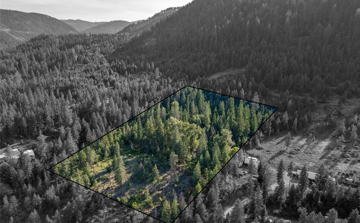 Pictures of Land property located at TBD E Dent Avenue, Troy, MT 59935 for sales - image #1