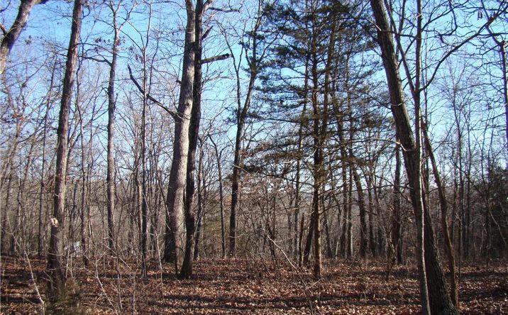 Pictures of Land, Special Purpose property located at Gore/Keevon Road, Lincoln, MO 65338 for sales - image #1