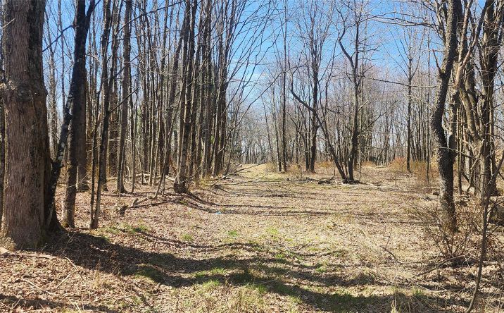 Pictures of Land, Multifamily property located at Liberty Street, Thompson, NY 12701 for sales - image #1
