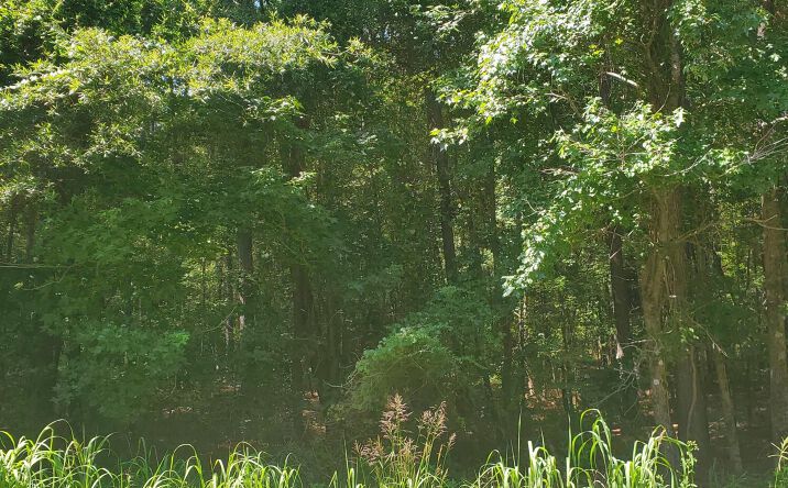 Pictures of Land, Multifamily property located at Offspring Court, Sumter, SC 29153 for sales - image #1