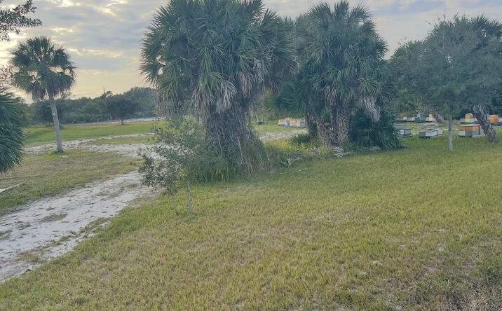 Pictures of Land property located at 6440 Highway 1, Grant-Valkaria, FL 32949 for sales - image #1