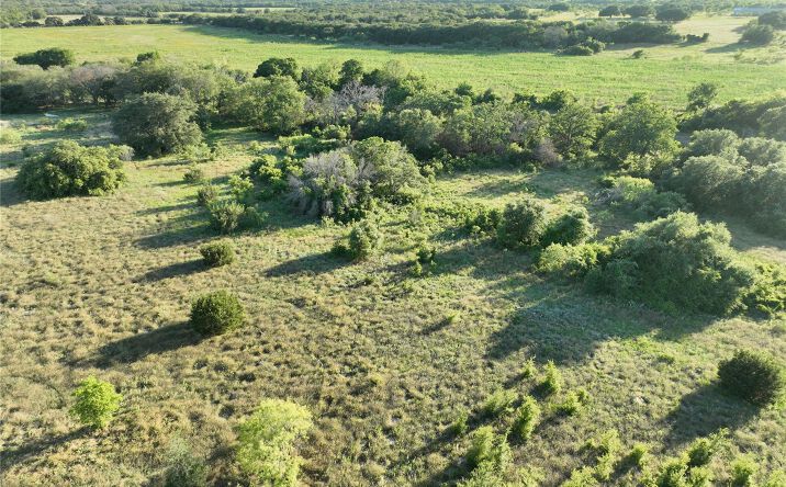 Pictures of Land property located at TBD CR 137, Carlton, TX 76436 for sales - image #1